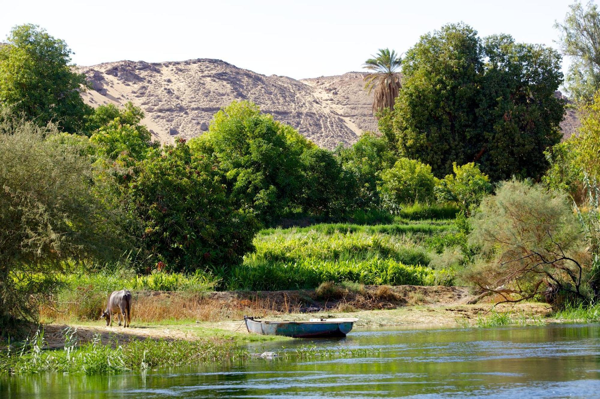 אסואן Hadouta Masreya Nubian Guest House מראה חיצוני תמונה